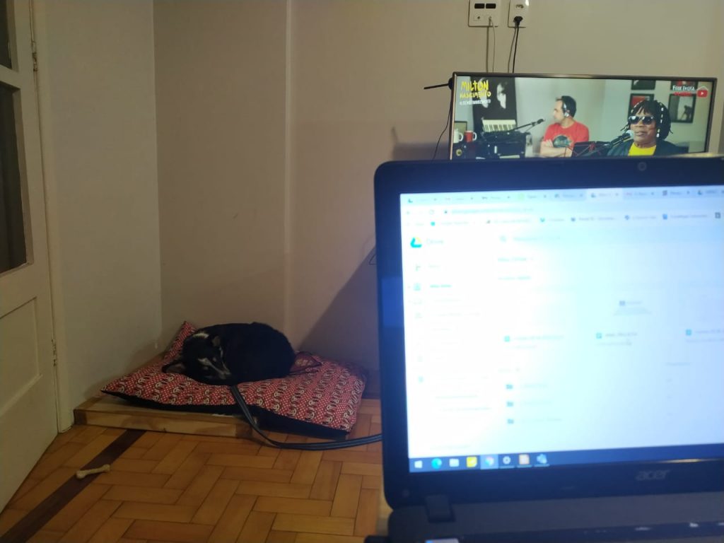 Cão aluno do curso na cama enquanto o dono faz home office