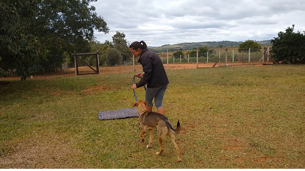 Passo a passo do exercício CAMA: Passo 1