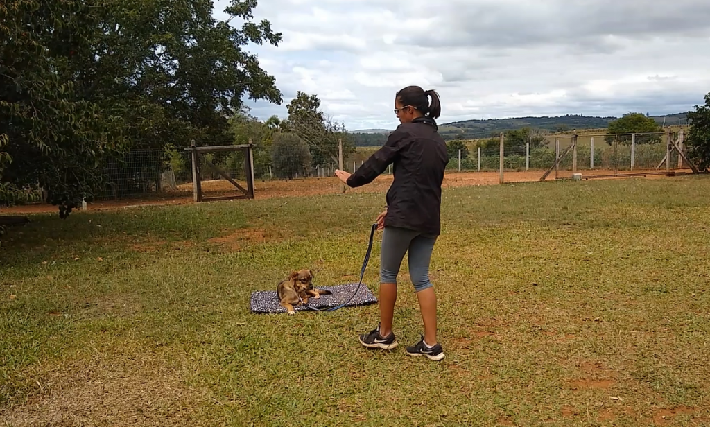 Passo a passo do exercício CAMA: Passo 2