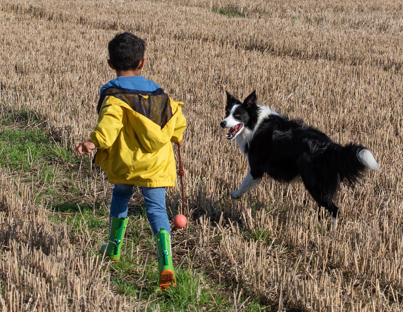 Criança brincando com seu cachorro no campo.