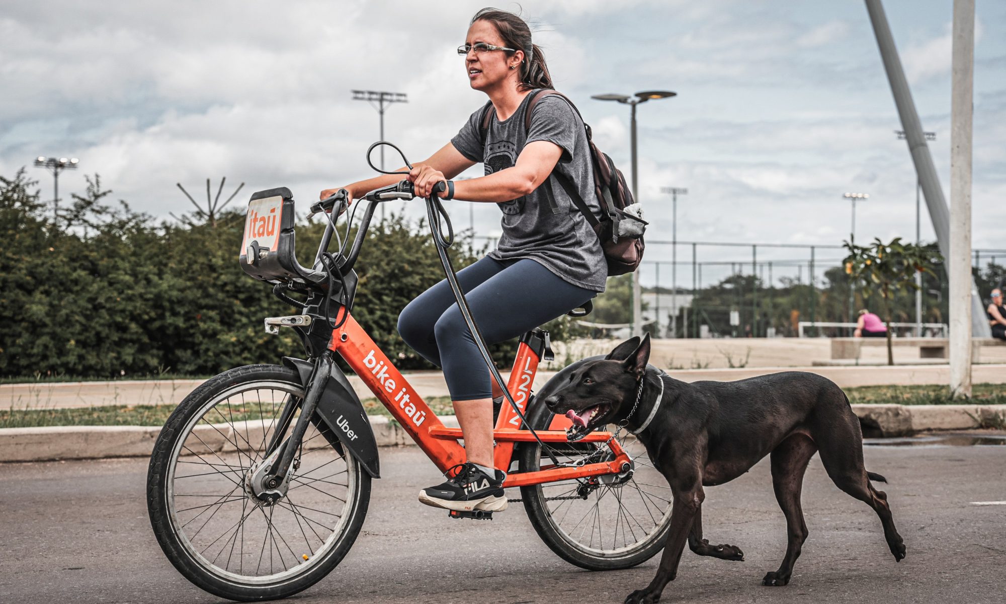 Cão e dono na bicicleta
