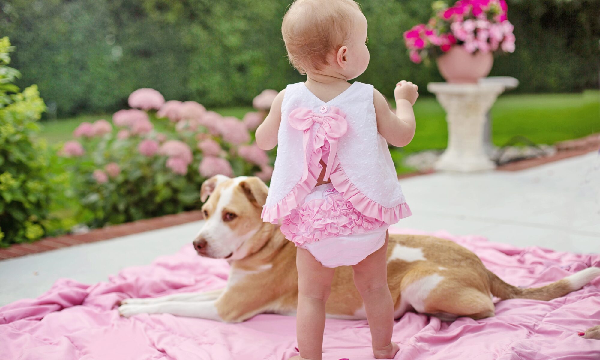 Bebê e cachorro